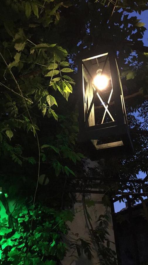 Dalyan Butik Otel Hayat Bahcesi Ayvalı Kültér fotó